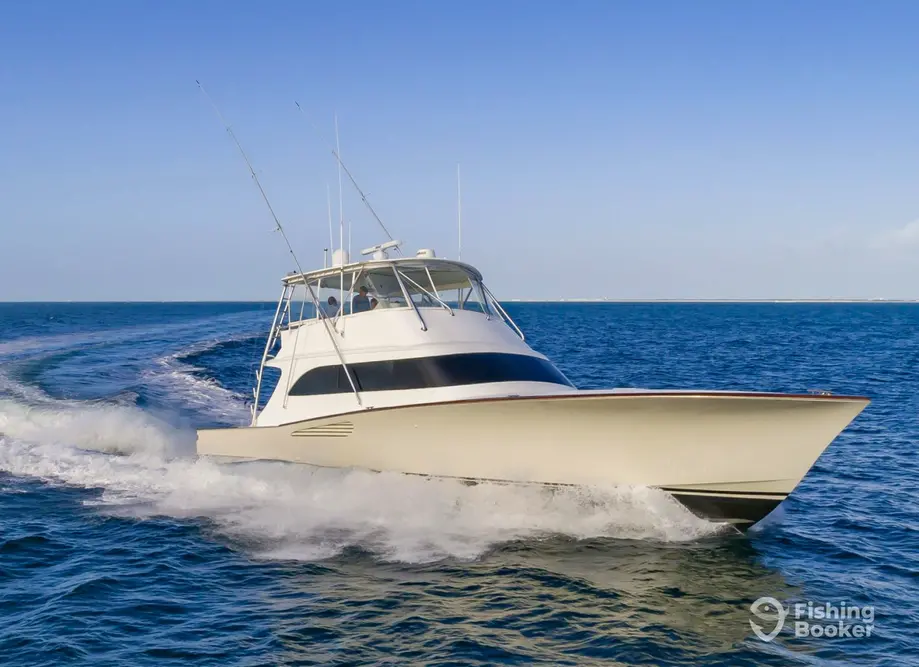 Custom Sportfishing charter image 6