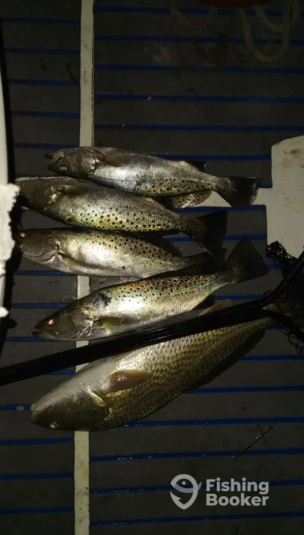 Atlantic Blue Charters – 19' charter image 2