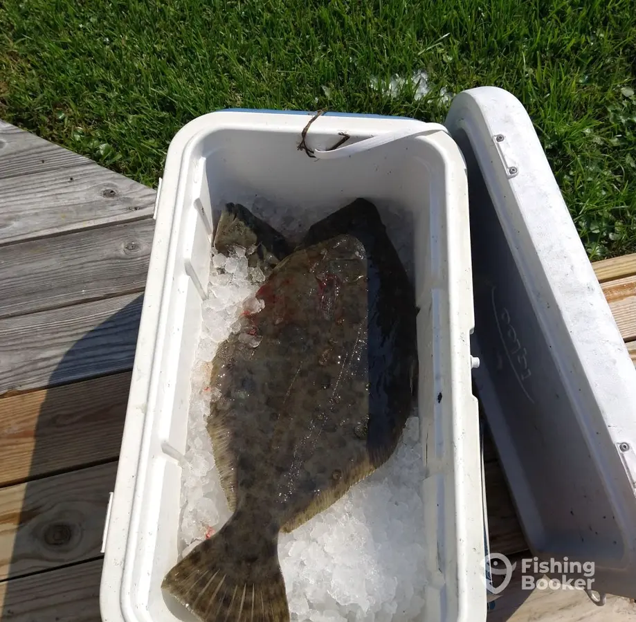 Atlantic Blue Charters – 19' charter image 5