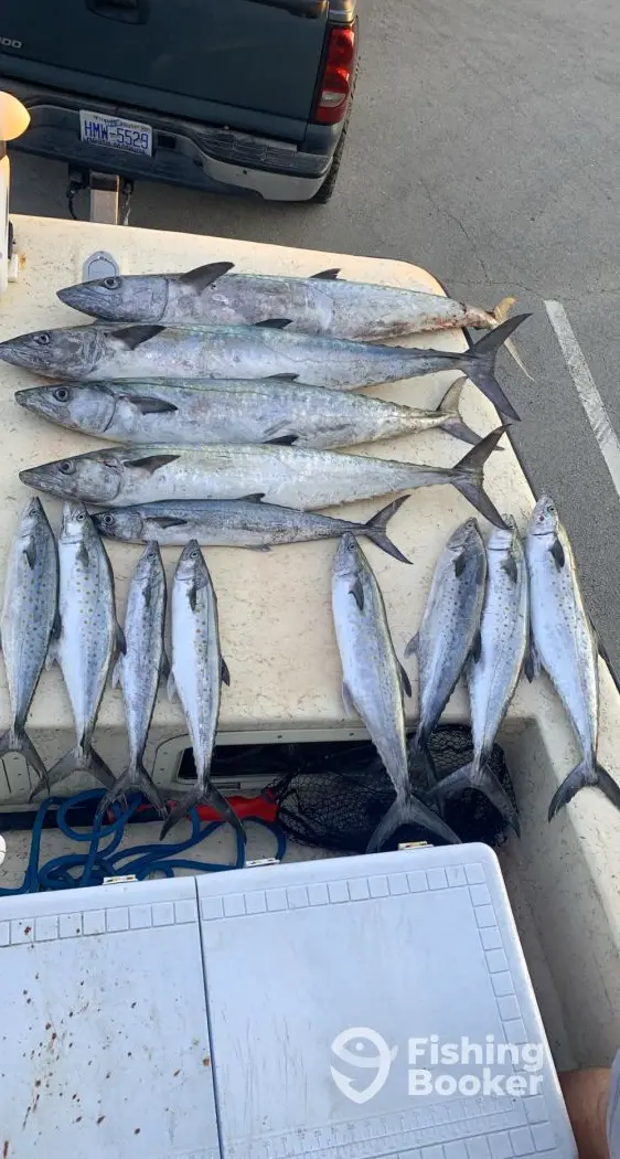 Tide Tight Guide Service charter image 6