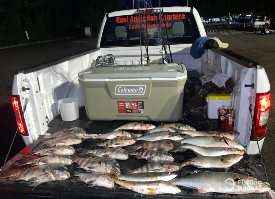 Reel Addiction Charters charter image 5