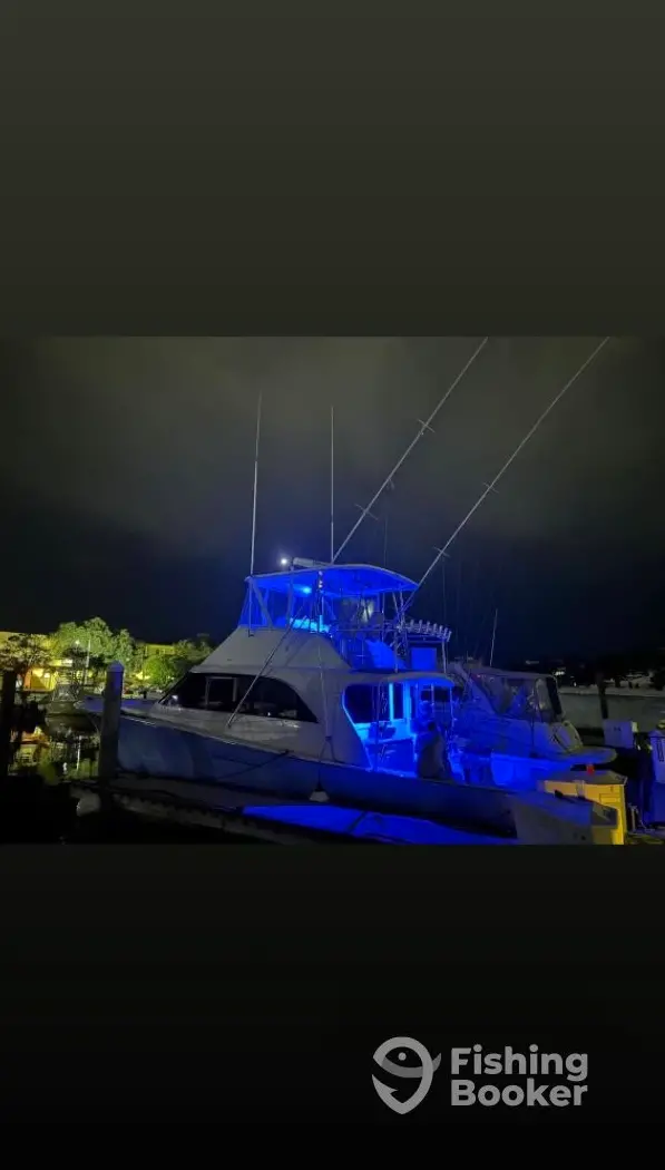 Reef Girl Sportfishing charter image 2