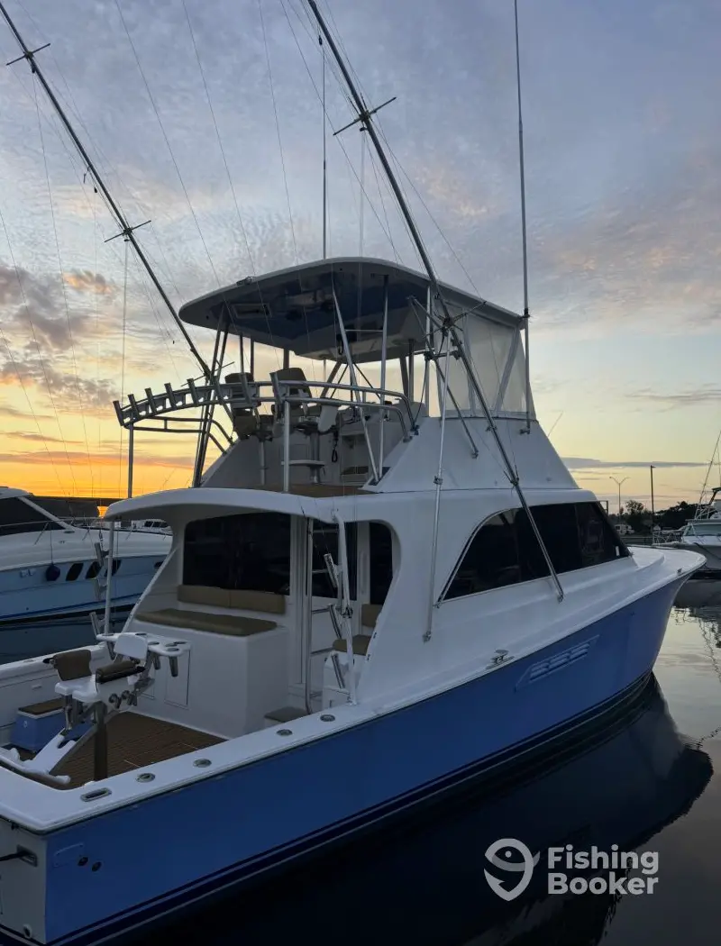 Reef Girl Sportfishing charter image 4