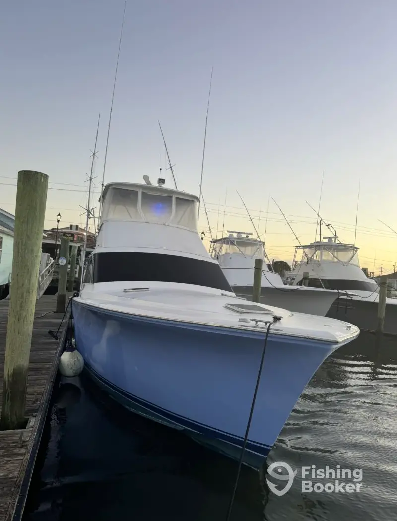 Reef Girl Sportfishing charter image 5