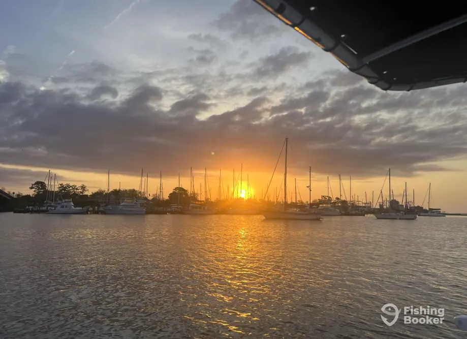 Pamlico Pirate Fishing Charters – Beaufort charter image 3