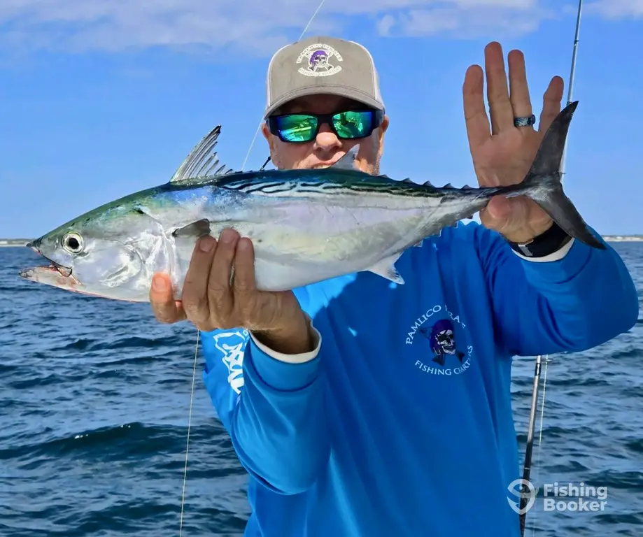 Pamlico Pirate Fishing Charters – Beaufort charter image 5