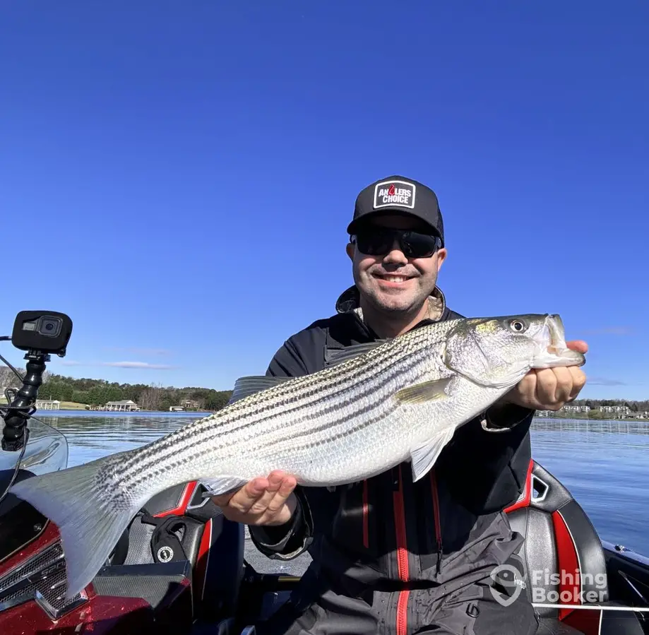 RiverBass Guide Service – New Bern charter image 5