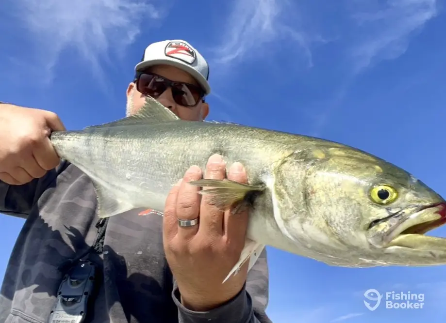 Inshore Bite Charters