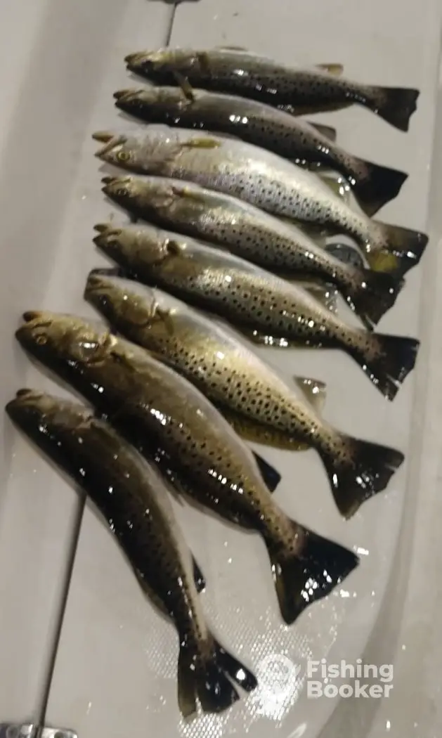 Rising Tide Outdoors NC charter image 2