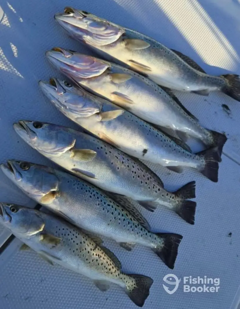 Rising Tide Outdoors NC charter image 6