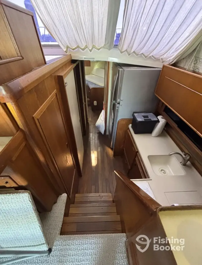 Ali Kat Sportfishing – Miss Lynn charter image 3