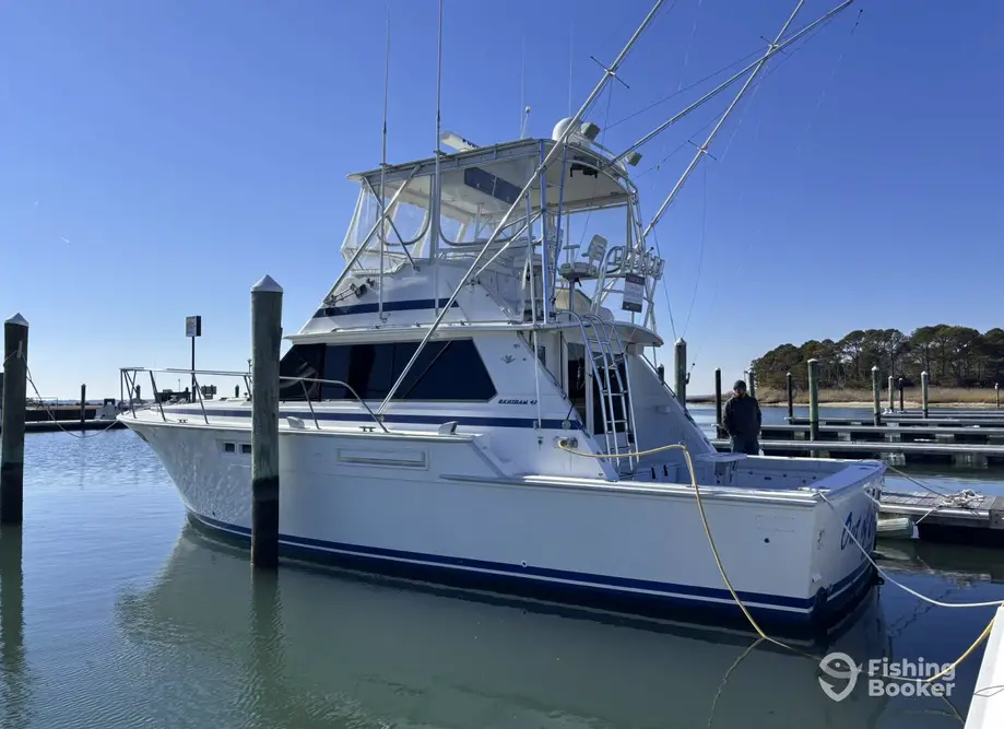 Ali Kat Sportfishing – Miss Lynn charter image 4