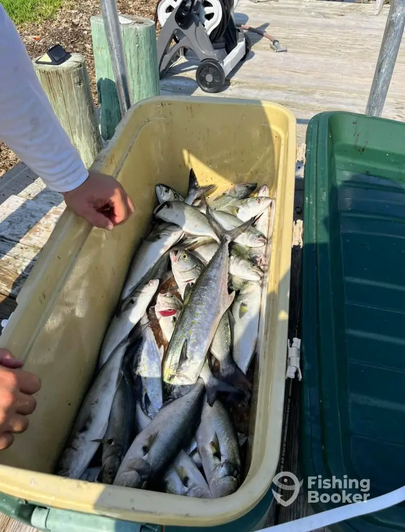 Serenity Charters charter image 2