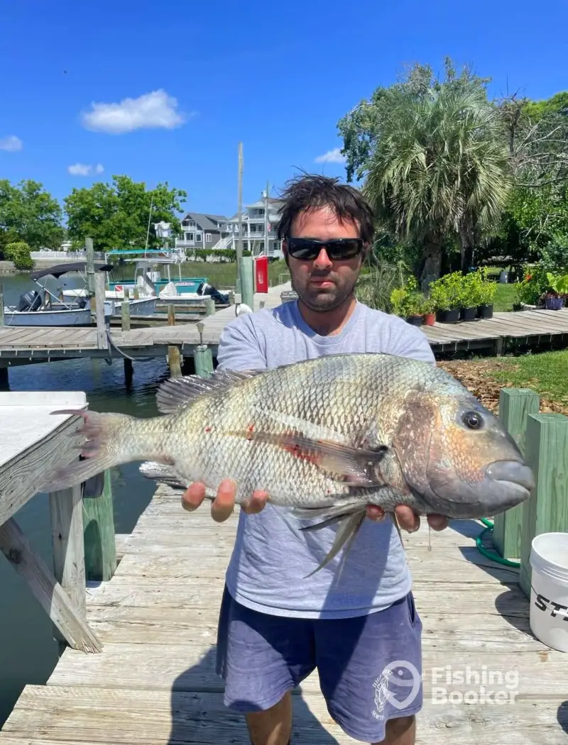 Serenity Charters charter image 3