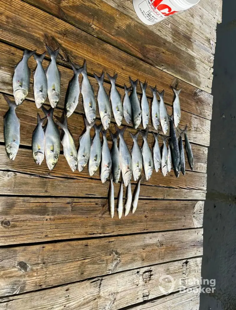 Serenity Charters charter image 4