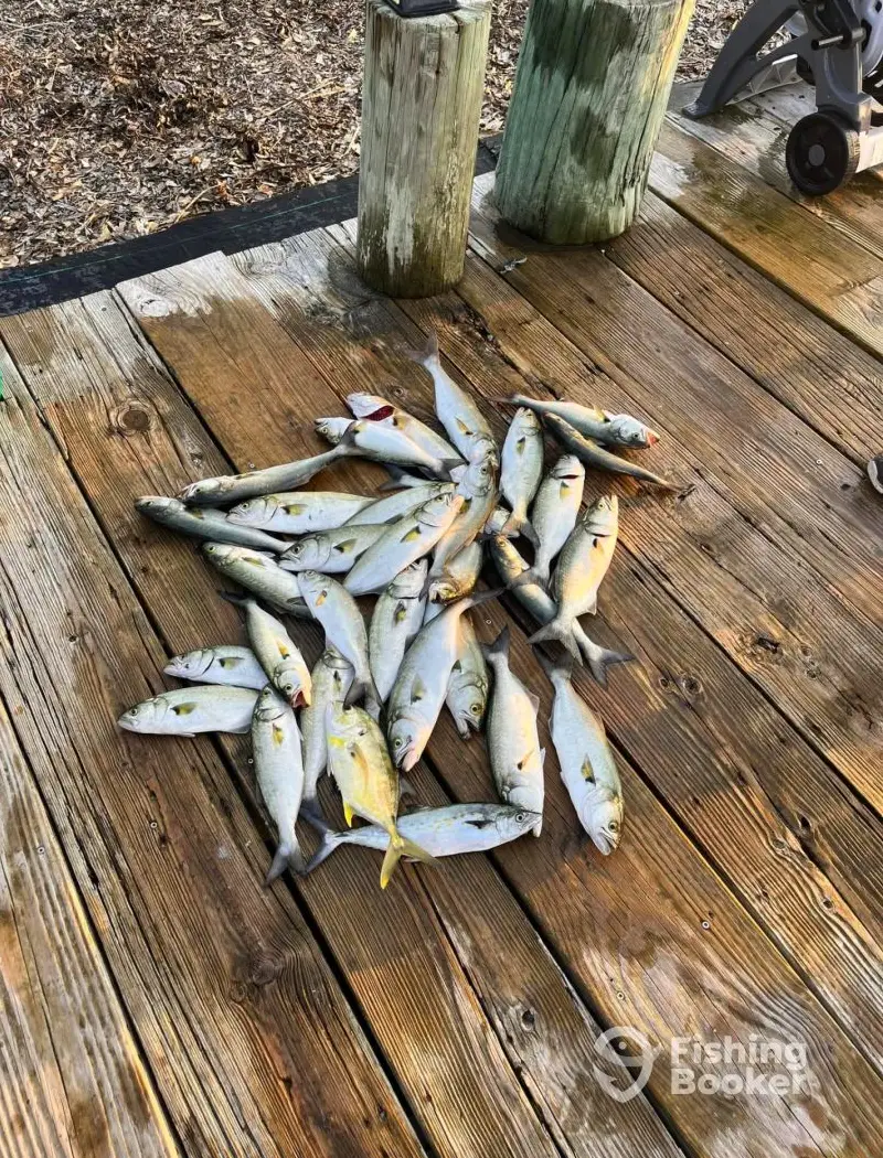 Serenity Charters charter image 5