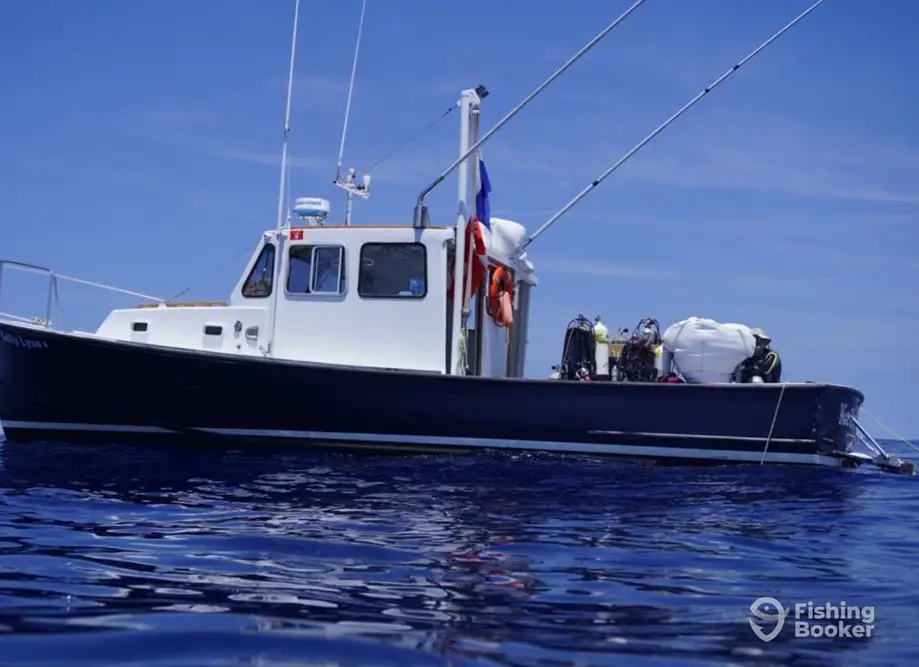 Serenity Charters charter image 6