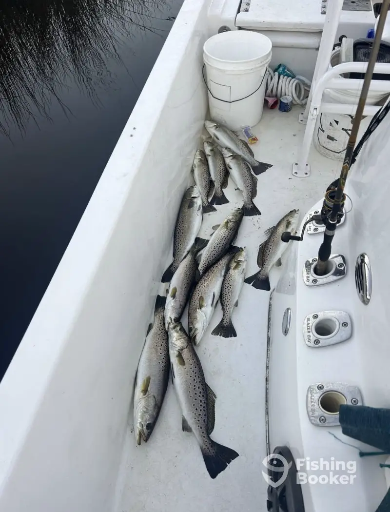 OutKast OutDoors charter image 4