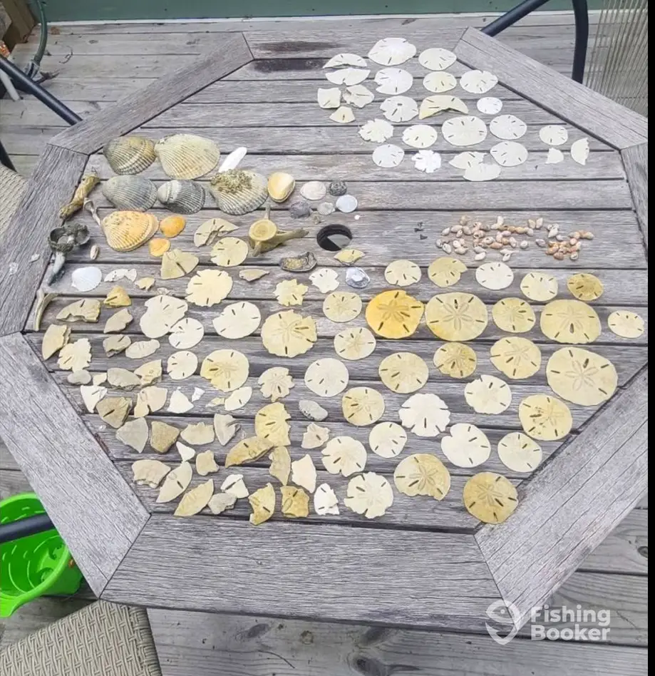 Soundside Tours LLC charter image 3