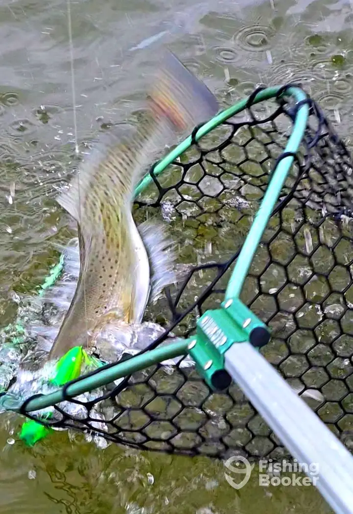 Pamlico Point Guide Service – New Bern charter image 2