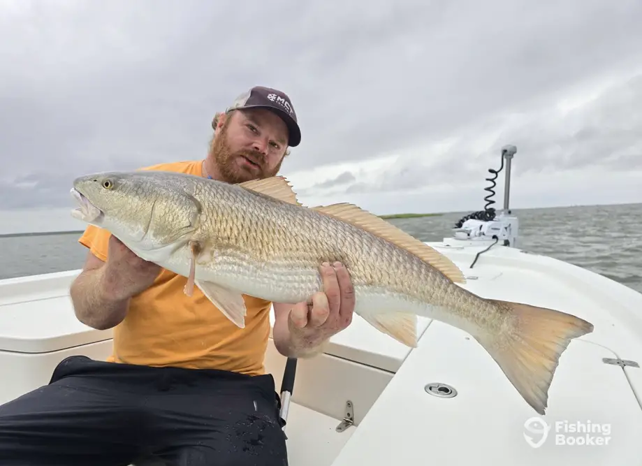 Pamlico Point Guide Service – New Bern charter image 3