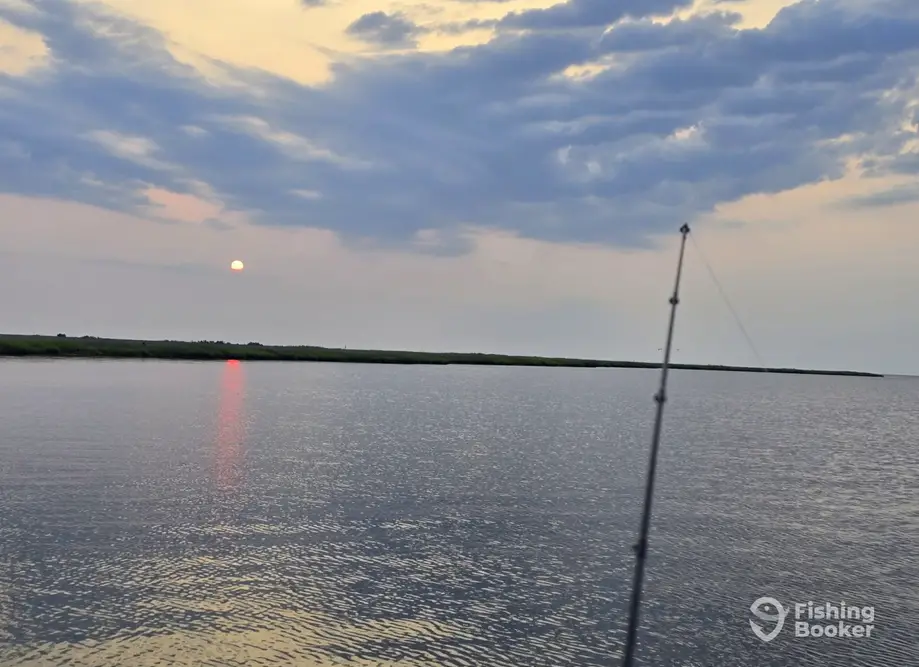Pamlico Point Guide Service – New Bern charter image 4