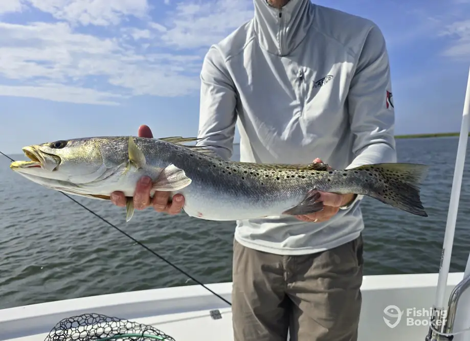 Pamlico Point Guide Service – New Bern charter image 5