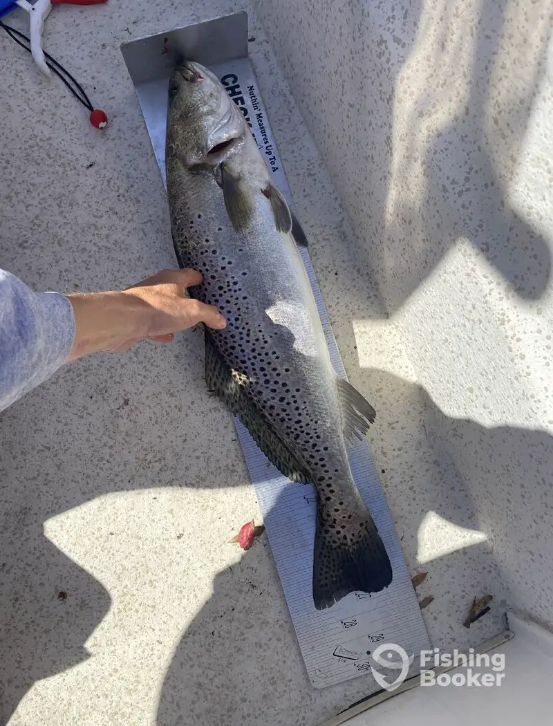 Carolina Charter Co. charter image 4