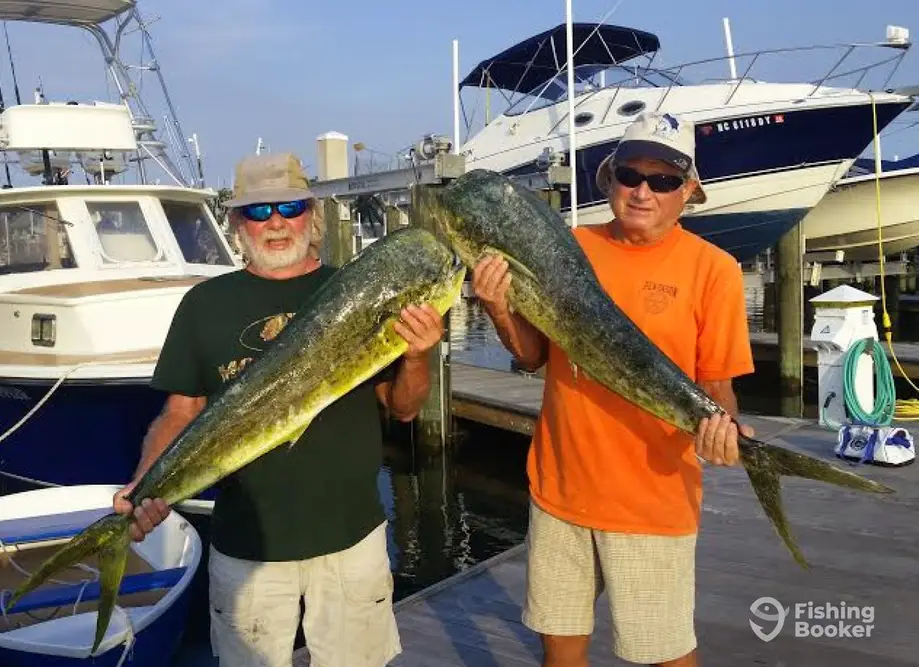 Beaufort Charters charter image 4