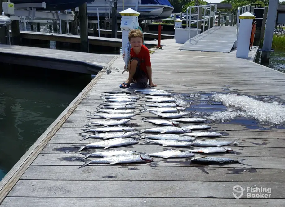 Beaufort Charters charter image 5